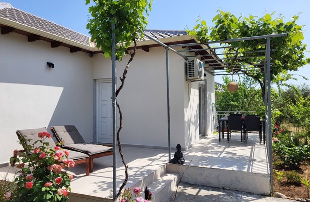 Holiday homes in the olive grove