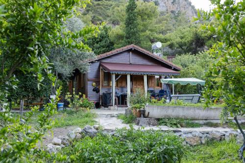 Holiday House Dilek Cirali Kemer Antalya