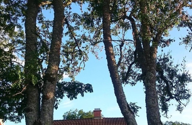Holiday house Oskarshamn for 1 - 4 persons with 2 bedrooms - Holiday house