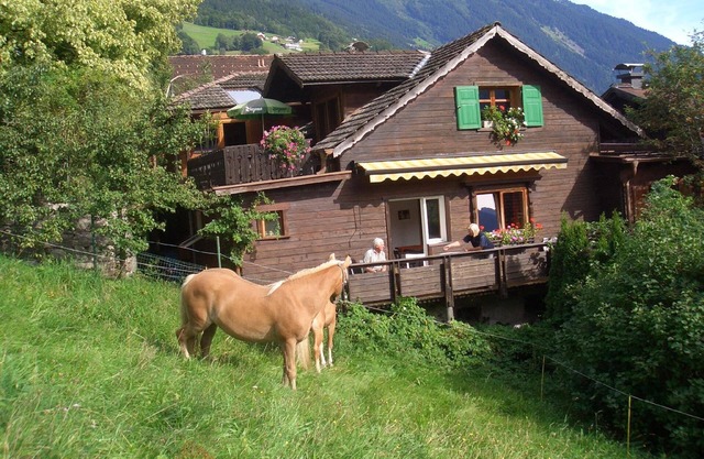 Holiday house Schruns for 1 - 12 persons with 6 bedrooms - Holiday house