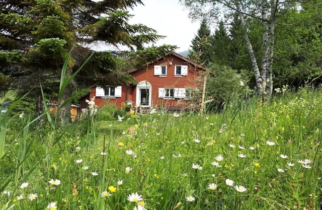 Holiday house Wildhaus for 1 - 7 persons with 4 bedrooms - Detached holiday house