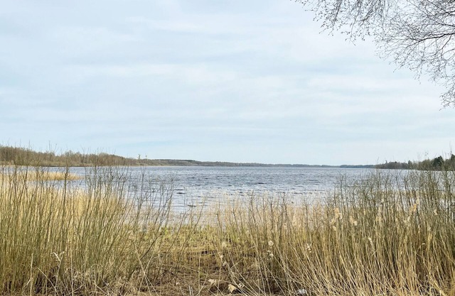 Holiday house with central location 17 km from Ljungby | SE06047