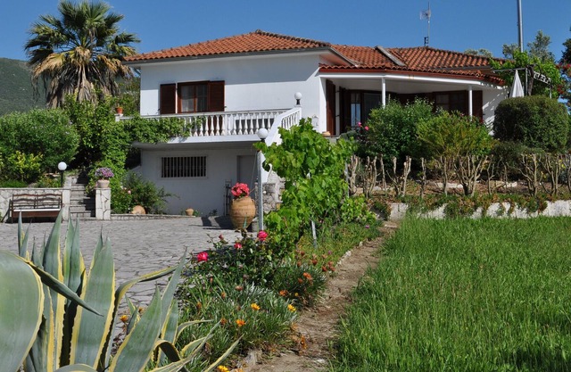 Holiday idyll in an olive grove, Mediterranean nature with a view of the sea and mountains.