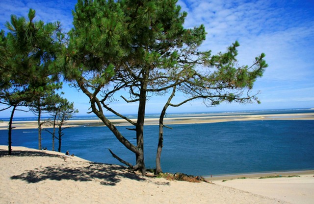 Holiday Inn Bordeaux Sud - Pessac by IHG