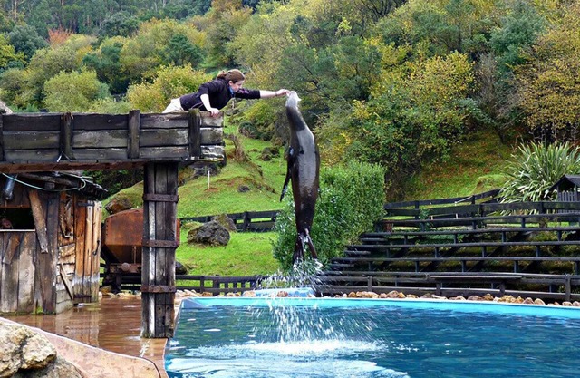 Holiday Park Cabarceno