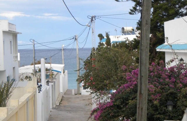 Holiday rentals: Charming house between sea and mountain,