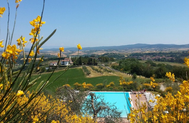 Holidays in apartment with swimming pool in Tuscany Siena