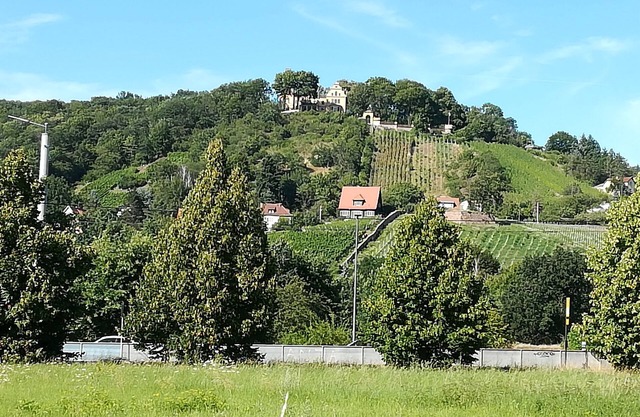 Holidays in Radebeul and Dresden