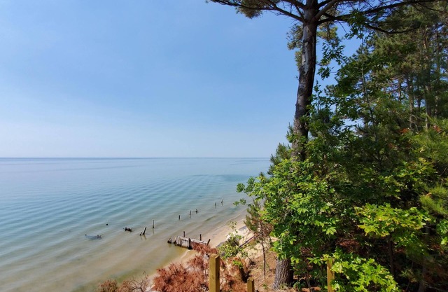 Holland Pine Bluff Cottage on Lake Michigan