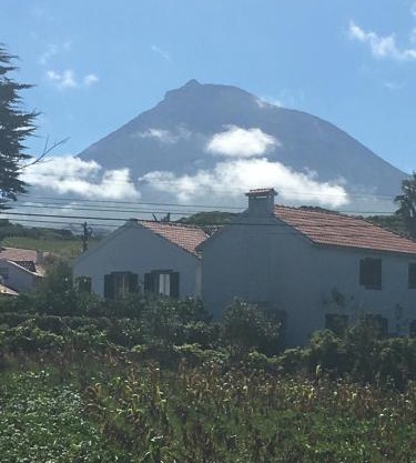 Home Pico - Casa dos Cedros (Alojamento local)