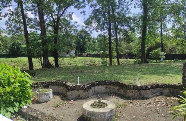 Homecation Manas View Jungle Resort