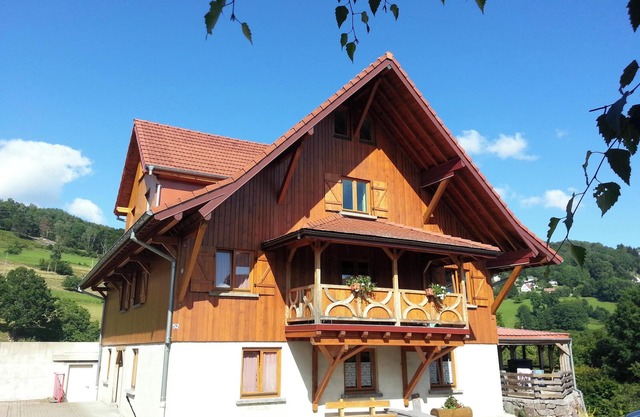 Homerez - Apt. Soultzeren, mountain view