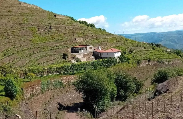 Homerez - Charming Villa with Pool in Lamego