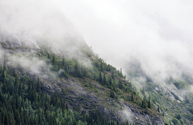 Homerez - Comfortable House in Solano Superiore with Garden