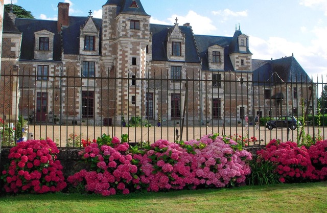 Homerez - Nice appartement for 6 ppl. with shared pool at Vernou-sur-Brenne