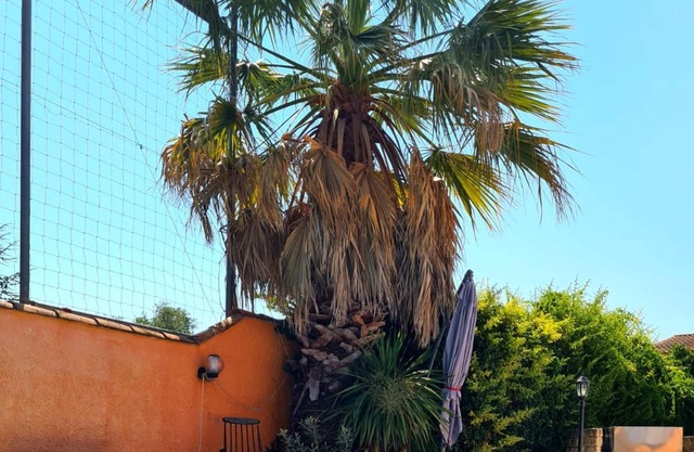 Homerez - Villa for 6 ppl. with swimming-pool and garden at Marguerittes