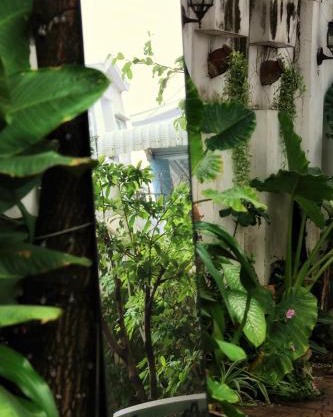 Homestay Cô Gái Việt
