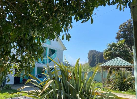 Homestay in Batumi Дом в Чакви