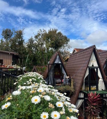 Homestay NGÔI NHÀ TAM GIÁC