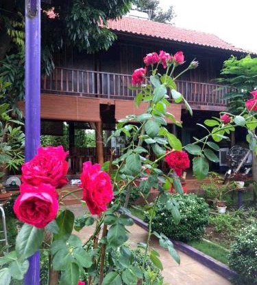 homestay nhà sàn
