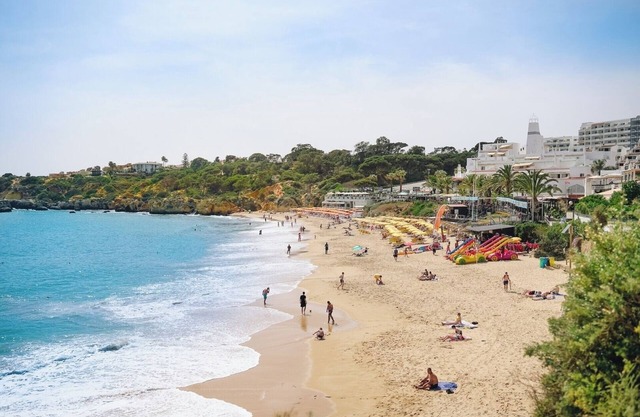 Host Wise - Shiny Central Flat | Pool