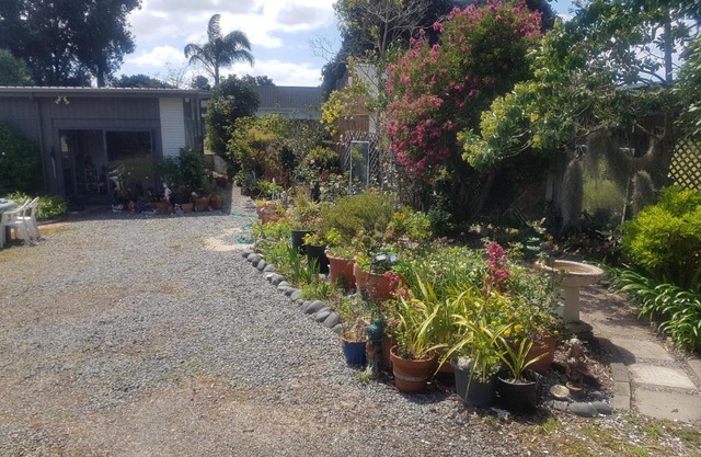 Hosts on the Coast Unwind on Waimaire