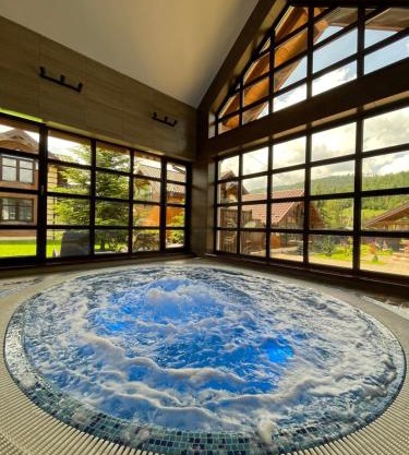 Hostynnyy Dvir Apartament Hotel & SPA