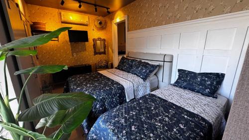 Hotel APART Zuccolotto 1