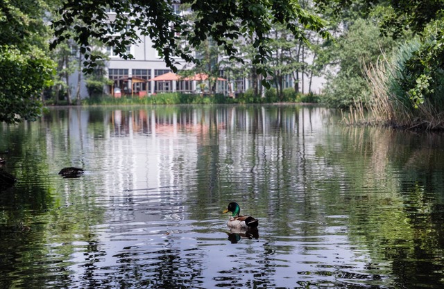 Hotel Düsseldorf Krefeld affiliated by Meliá