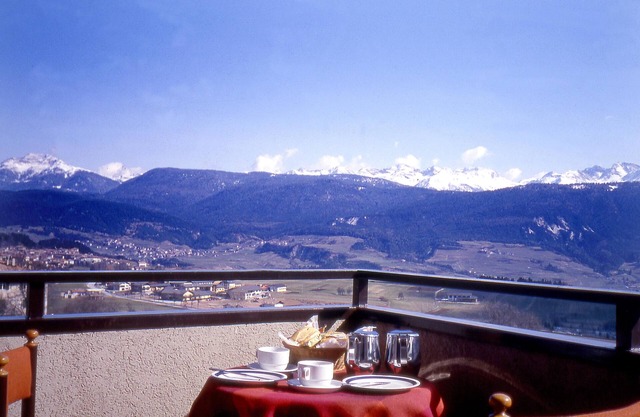 Hotel e Appartamenti Al Larice