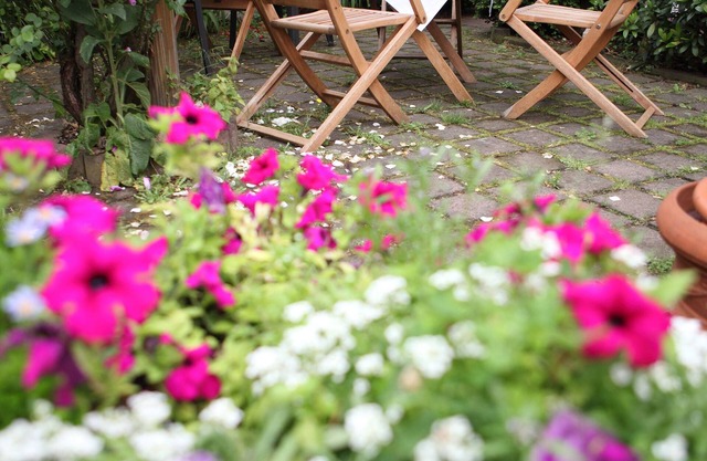 Hotel Elysee