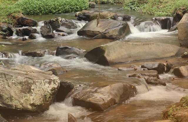Hotel fazenda jequitibá