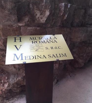 Hotel MedinaSalim