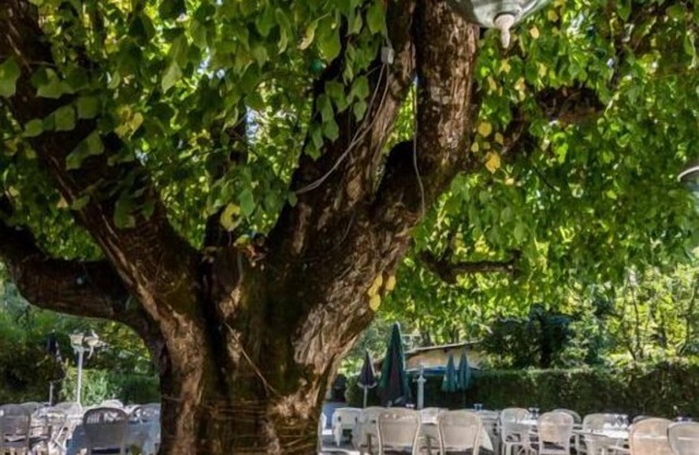 Hotel Restaurant Ma Petite Auberge