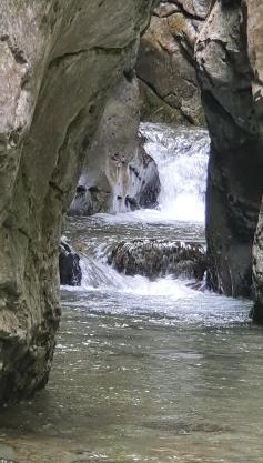 Hotel Rural L'Ortiga Blanca
