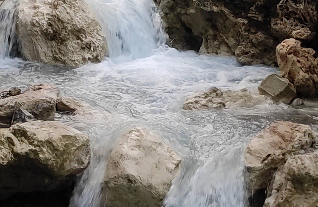 Hotel StudioZ Sahastradhara