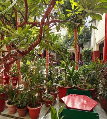 HOTEL TOURIST REST HOUSE Agra