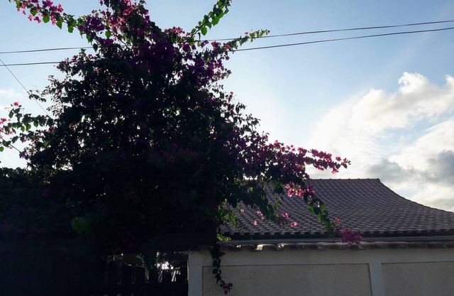 House 2 blocks from Jaconé beach, prime street 5 minutes from the main shops