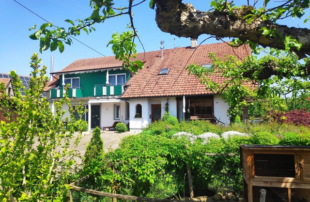 House Apple Blossom - No 4