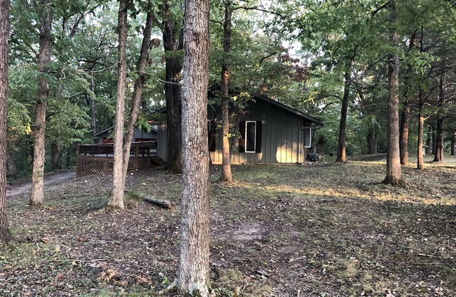House in the Trees