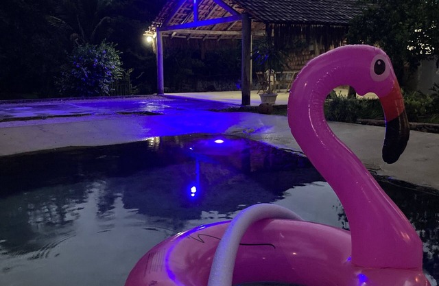 House, natural pool, waterfall 24/day!Close to beaches - Angra dos Reis