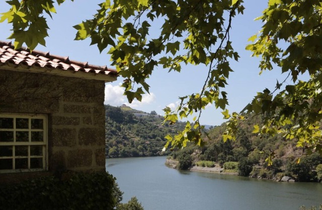 House of Figueira Velha | Resende | Douro