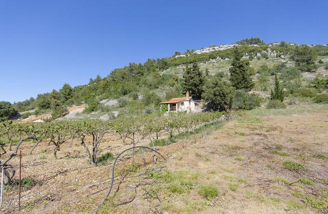 House Silvana (31991-K1) - Postira - island Brac