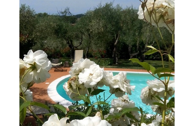 House with garden