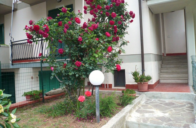 House with garden, close to the beach