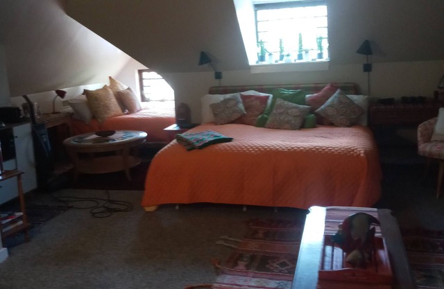 Huge Serene Downtown Loft Granny Unit Private Apt.-North Hill, Superb Location