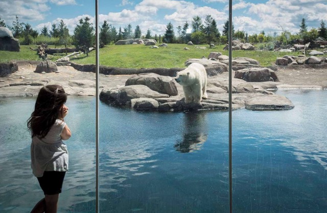 Hyatt Place Columbus/Polaris