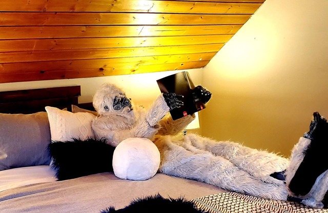 IceBerg Farms, even a Yeti can chill here!
