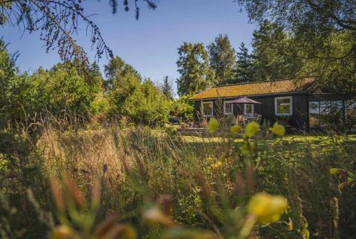 Ideal Holiday Home For Nature And Peace