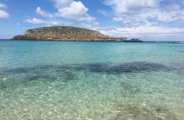 Idilic Feng Shui Beach Front Apartment